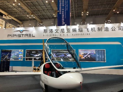 高技術與特色產品亮相中東歐博覽會，推動國際技術開發合作